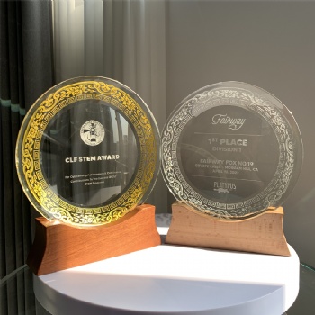 ADL New Design 2023 Crystal Glass Plate Shaped First Awards Trophies with Wooden Base for Souvenir Gifts