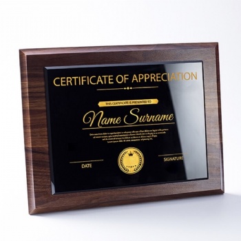 ADL Wholesale Customized Wooden Plaques Trophy Awards with for Sports Events Awards