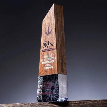 ADL New Designs Wooden Trophy with Black Stone Base with Customized Words and Logo Souvenir Gifts