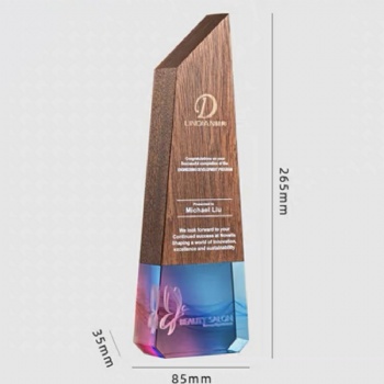 ADL New Designs Wooden Trophy with Black Stone Base with Customized Words and Logo Souvenir Gifts