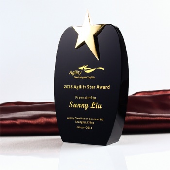 ADL Crystal Glass Trophy Award with Gold Star and Black Glass Crystal with Customized Words