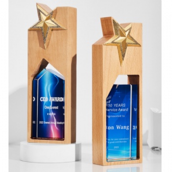 ADL Wooden Crystal Glass Trophy with Crystal Rectangular Shape for Sport Events Awards Trophy