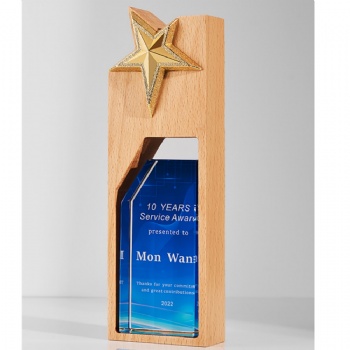 ADL Wooden Crystal Glass Trophy with Crystal Rectangular Shape for Sport Events Awards Trophy