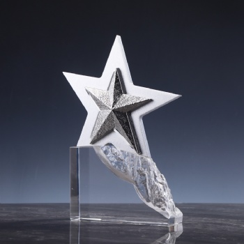 ADL Climbing to the Peak Crystal Glass Trophy Awards Star Metal Trophy Award for Sport Events First Award