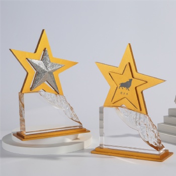 ADL Climbing to the Peak Crystal Glass Trophy Awards Star Metal Trophy Award for First Award Business Gifts