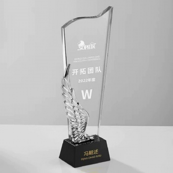 ADL Glass Awards Crystal Trophy Award with Customized Laser Printed Words and Logo Metal Plaques for Business Crafts Gifts