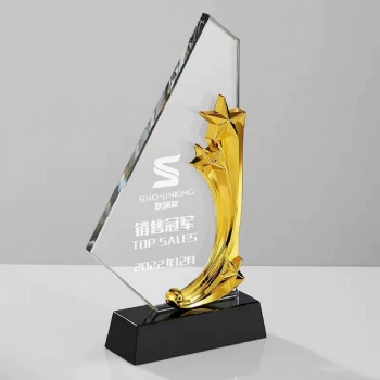 ADL Glass Awards Crystal Trophy Award with Customized Laser Printed Words and Logo Metal Plaques for Business Crafts Gifts