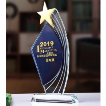 Personalized customizable Logo Outstanding Employee Team Sales Crystal Glass Star Awards Trophy