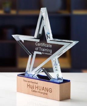 New Wooden Creative Company Annual Meeting Souvenir Blank Crystal Star Wood Trophy Plaque Manufacture Wholesale CheapTrophy