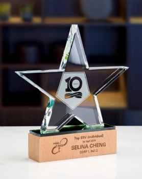 New Wooden Creative Company Annual Meeting Souvenir Blank Crystal Star Wood Trophy Plaque Manufacture Wholesale CheapTrophy