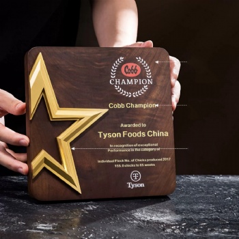 ADL Wooden Star Trophy Awards Plaques Love Crystal Trophy Awards Business Crystal Wooden Crafts Plaques for Sports Europe