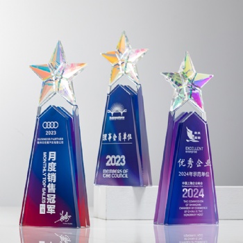 ADEL Sandblasted Engraved Star Wholesales Factory Directly Custom Sports Crystal Trophy Cup Championship Award