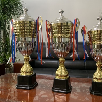 ADL Big Cup Champion Wooden Plastic Metal Crystal Glass Trophy Awards for Business Gifts Glass Crafts Souvenir Crafts